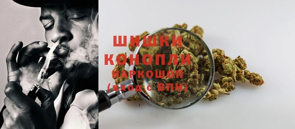 дурь Белокуриха