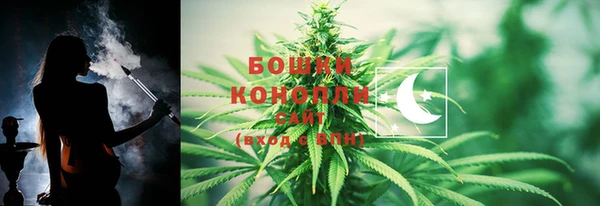 дурь Белокуриха