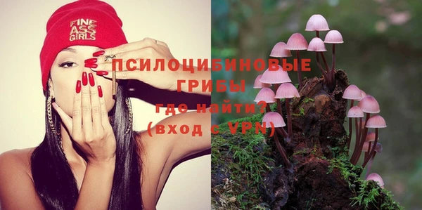 дурь Белокуриха