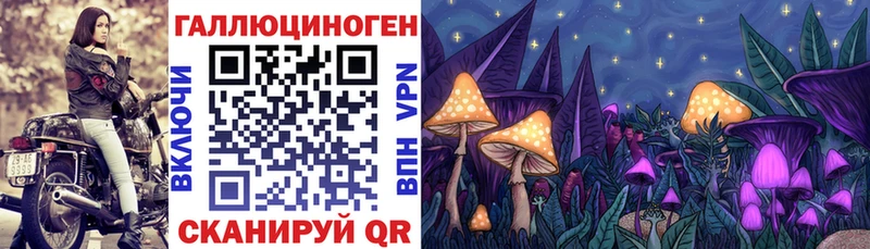 Галлюциногенные грибы MAGIC MUSHROOMS Кондопога
