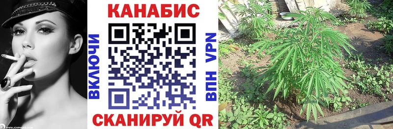 OMG зеркало Кондопога МАРИХУАНА семена как найти наркотики